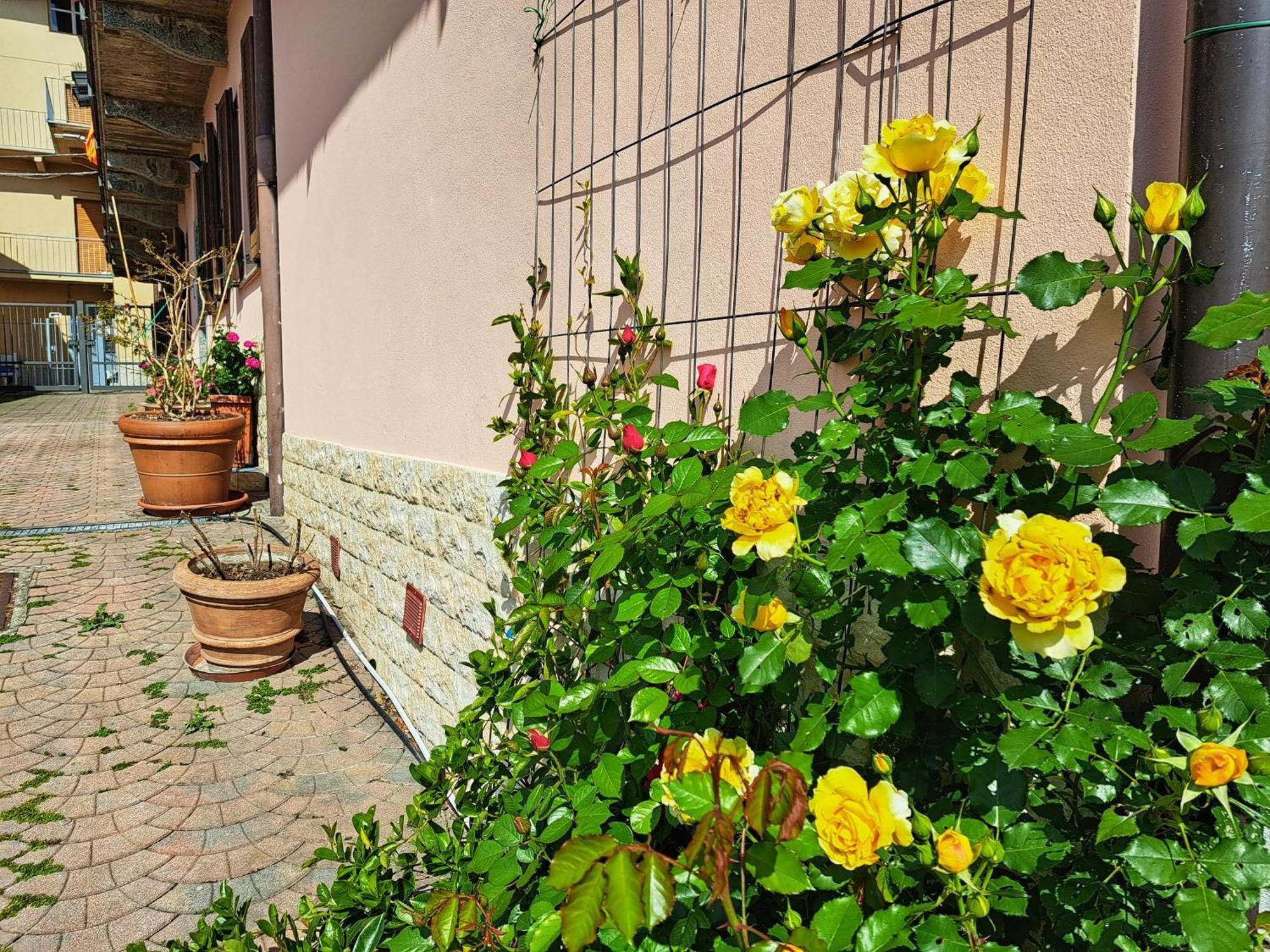 Le Rose Sul Lago Pescate Екстер'єр фото