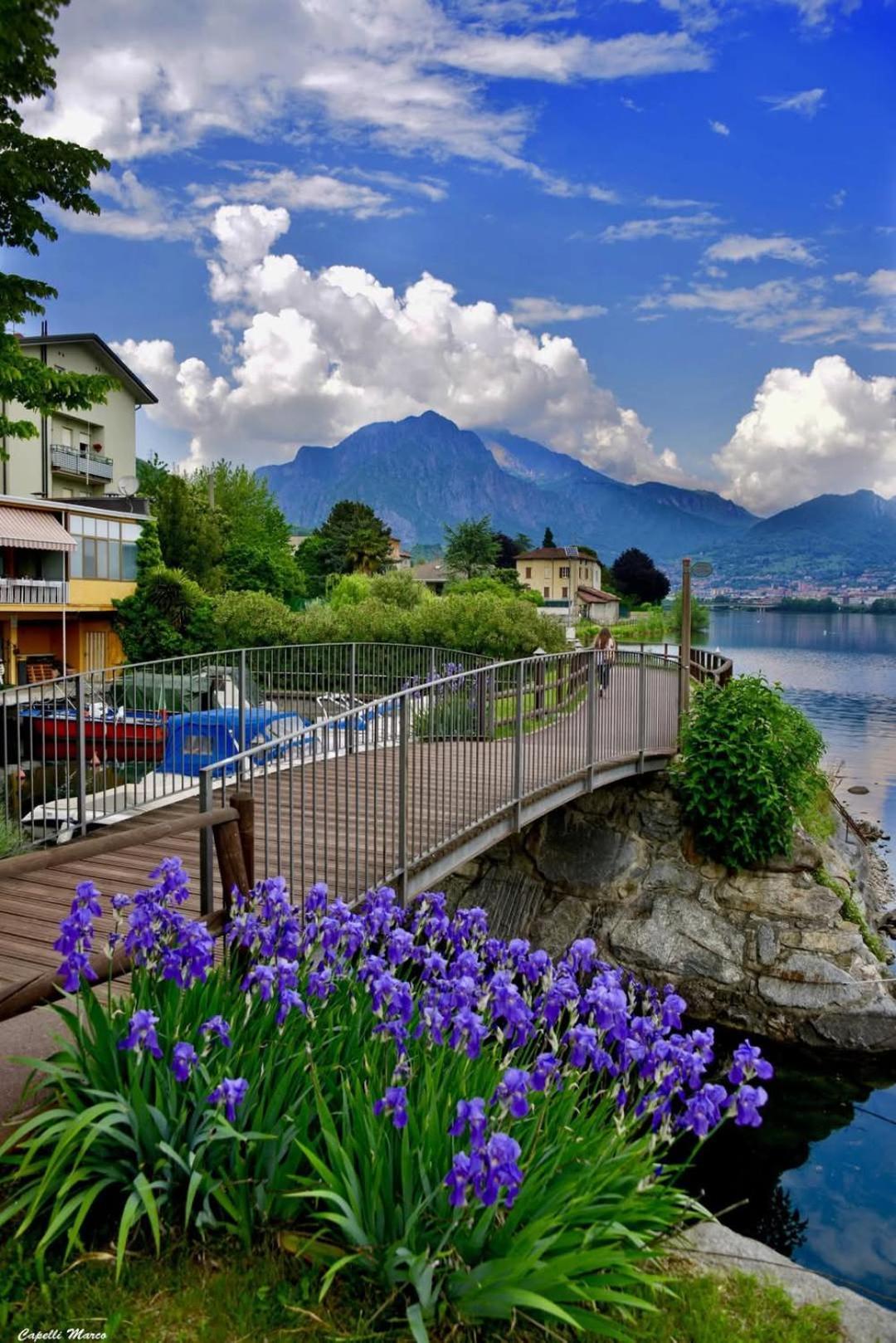 Le Rose Sul Lago Pescate Екстер'єр фото